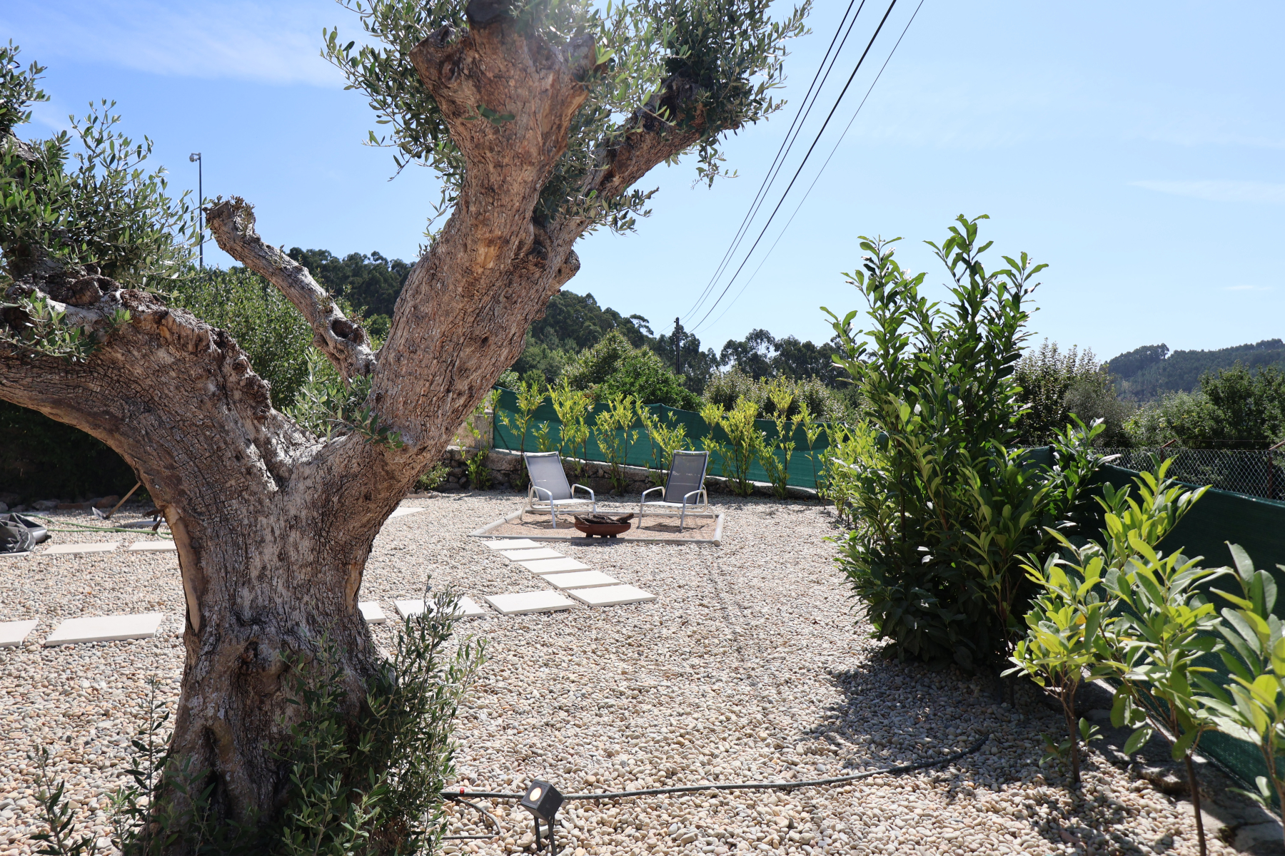 Cattleya_House-2