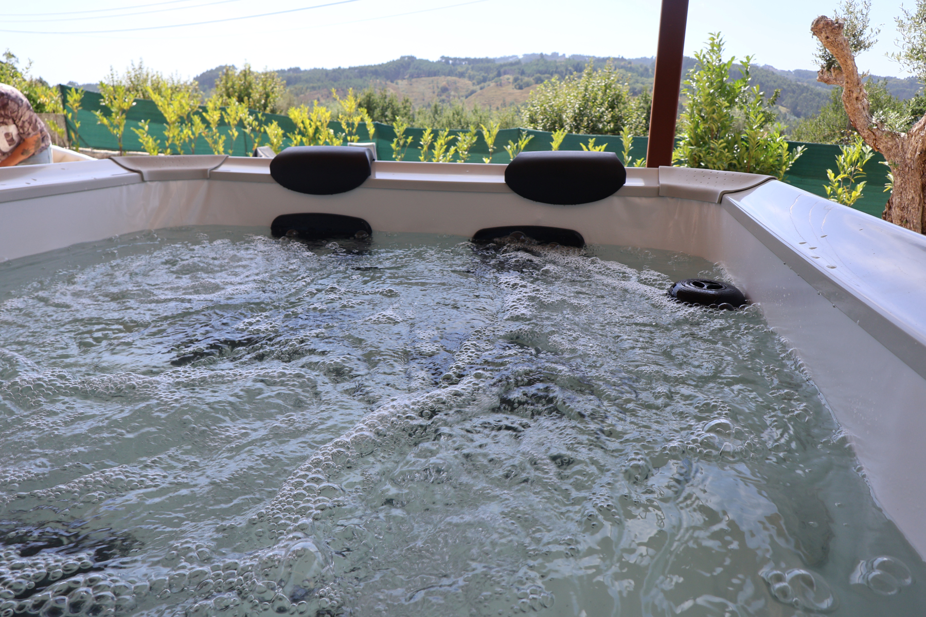 Cattleya_House-5